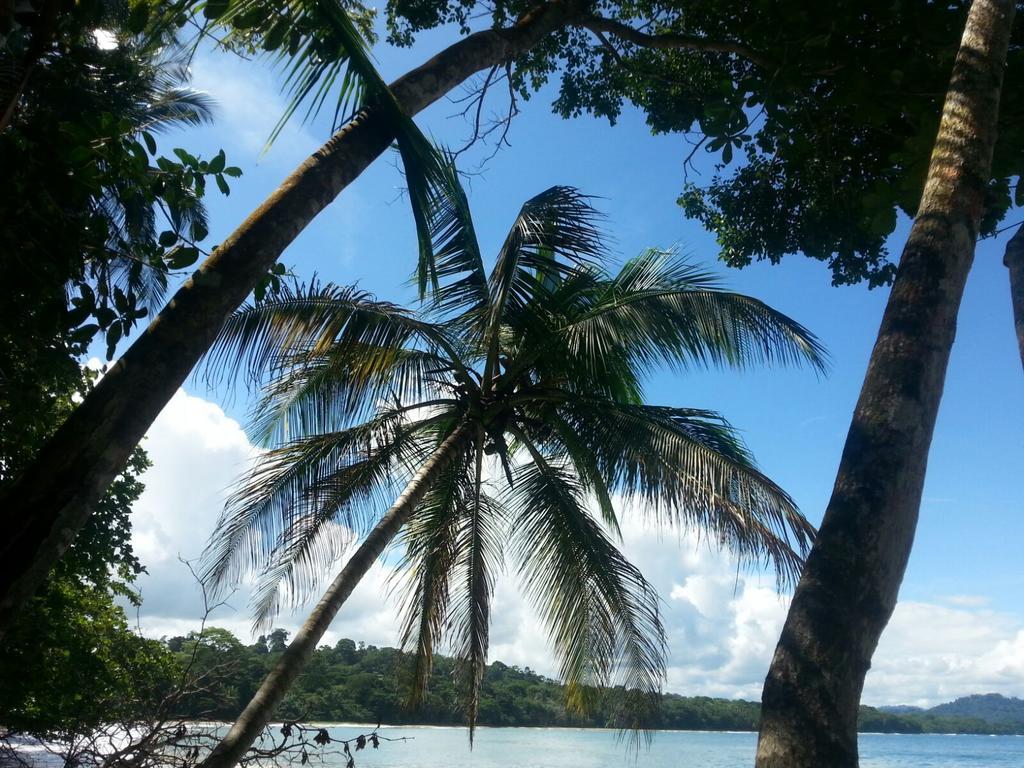 Mar Verde Lodge Puerto Viejo de Talamanca エクステリア 写真