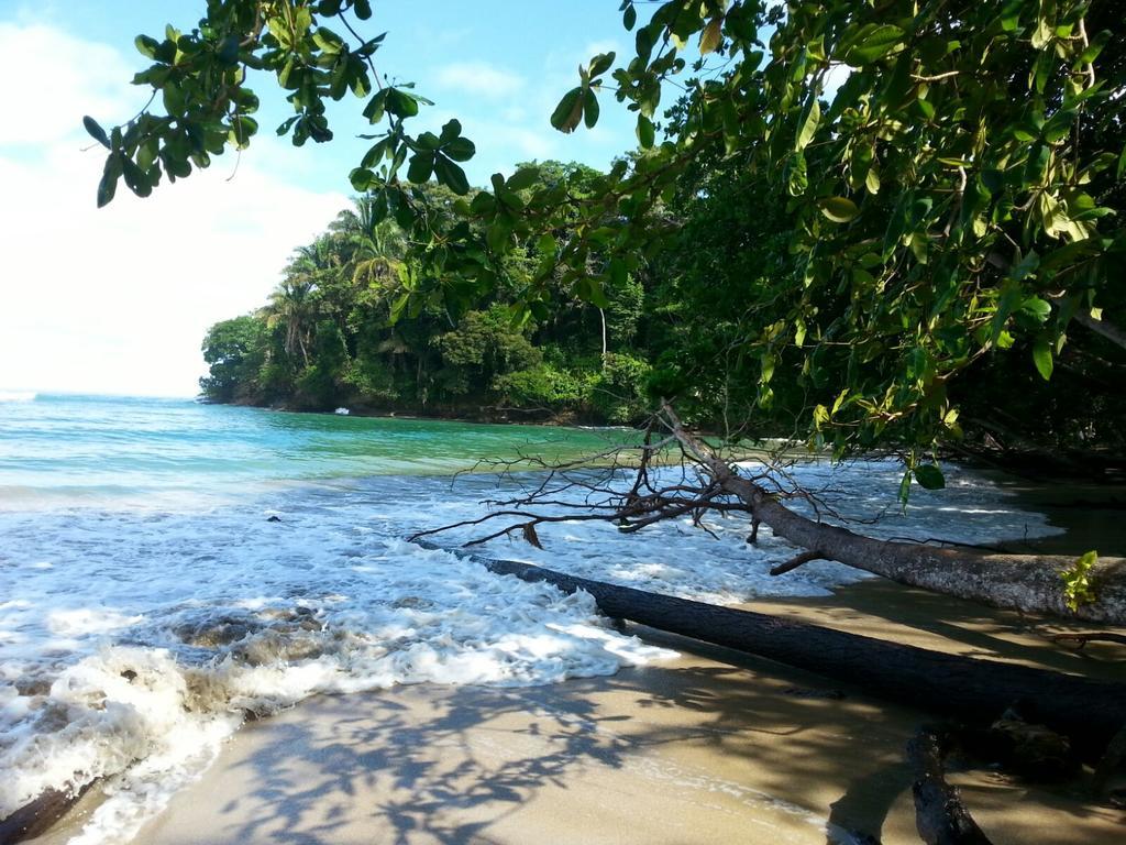 Mar Verde Lodge Puerto Viejo de Talamanca エクステリア 写真