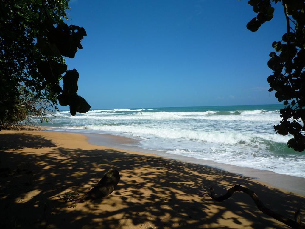 Mar Verde Lodge Puerto Viejo de Talamanca エクステリア 写真