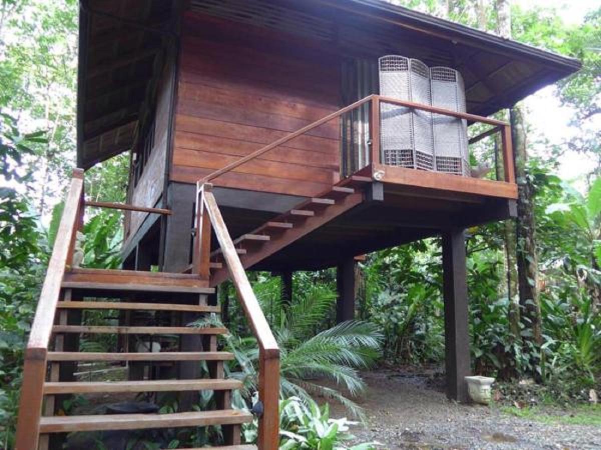 Mar Verde Lodge Puerto Viejo de Talamanca エクステリア 写真