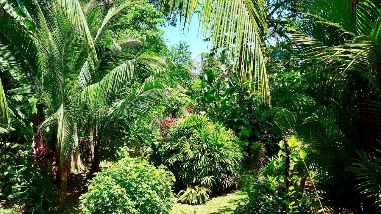 Mar Verde Lodge Puerto Viejo de Talamanca エクステリア 写真