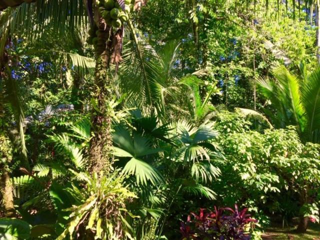 Mar Verde Lodge Puerto Viejo de Talamanca エクステリア 写真