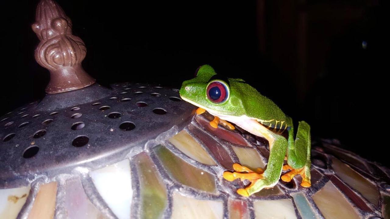Mar Verde Lodge Puerto Viejo de Talamanca エクステリア 写真
