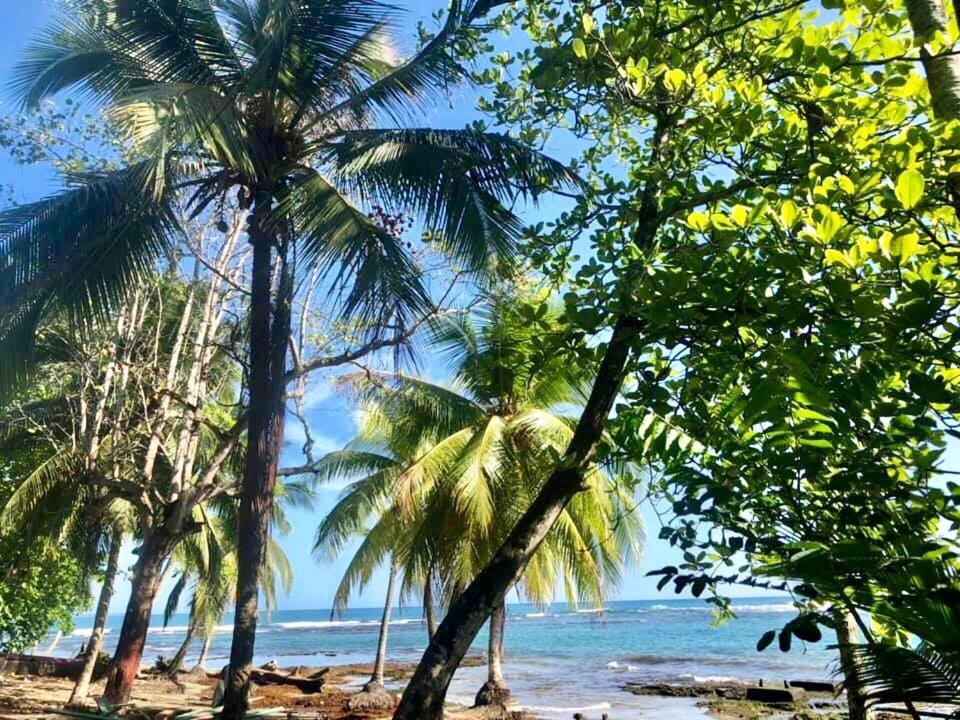 Mar Verde Lodge Puerto Viejo de Talamanca エクステリア 写真