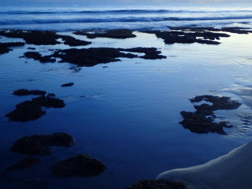 Mar Verde Lodge Puerto Viejo de Talamanca エクステリア 写真